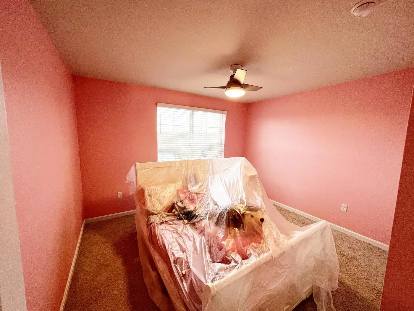Small bedroom painted coral, the furniture wrapped and pushed to the middle of the room