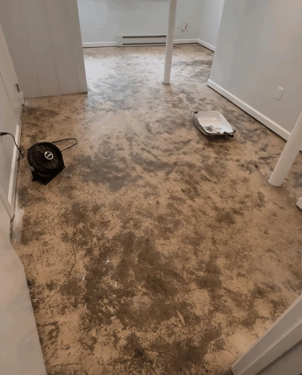Basement walls and trim painted white above a bare stained concrete floor, with a paint tray and a drying fan still in the room