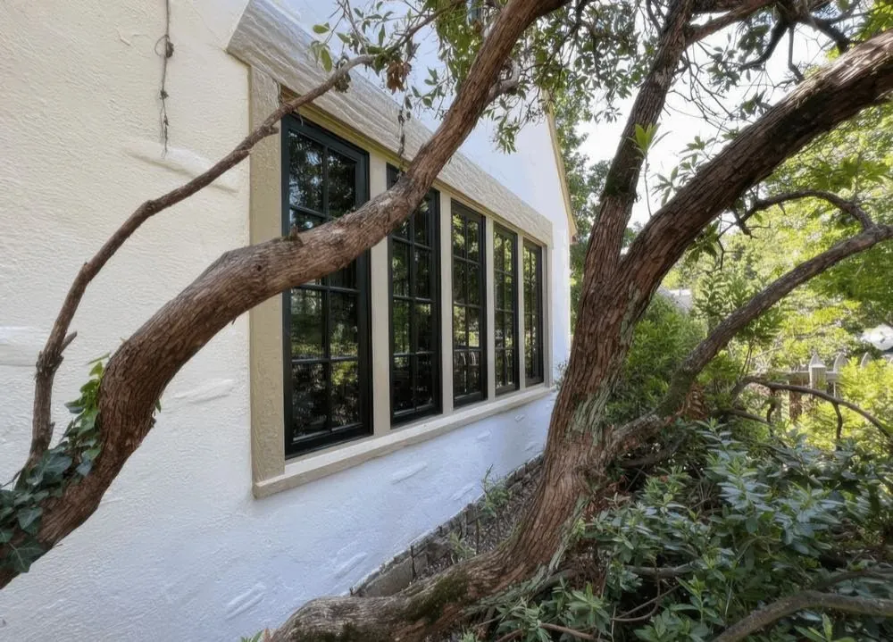 Freshly painted white stucco wall and cream window surround with black casement sashes, finished by Rise and Prime Painting